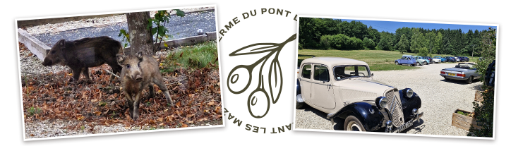 La Ferme Du Pont Des Aulnes - restaurant LES MAZURES